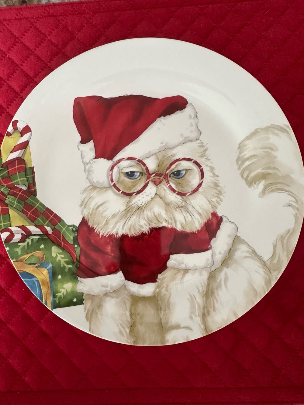 Pier 1 Imports Theodore Grumpy Cat Santa Salad Plate NWOT